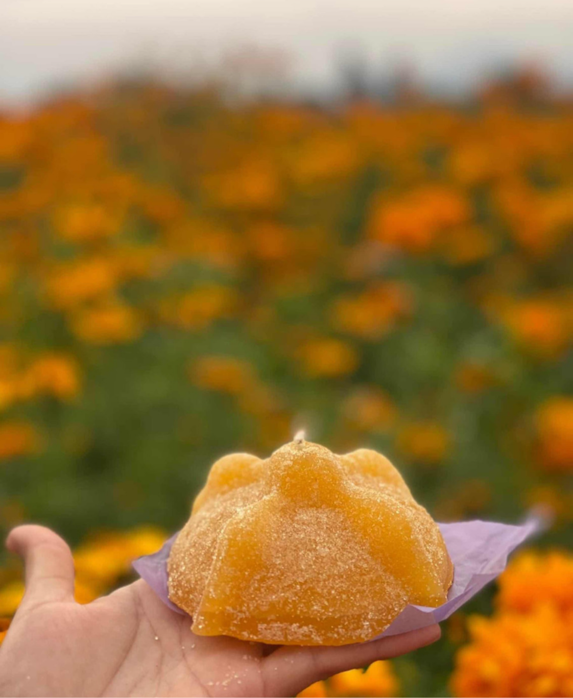 MOLDE DE SILICÓN PAN DE MUERTO GIGANTE
