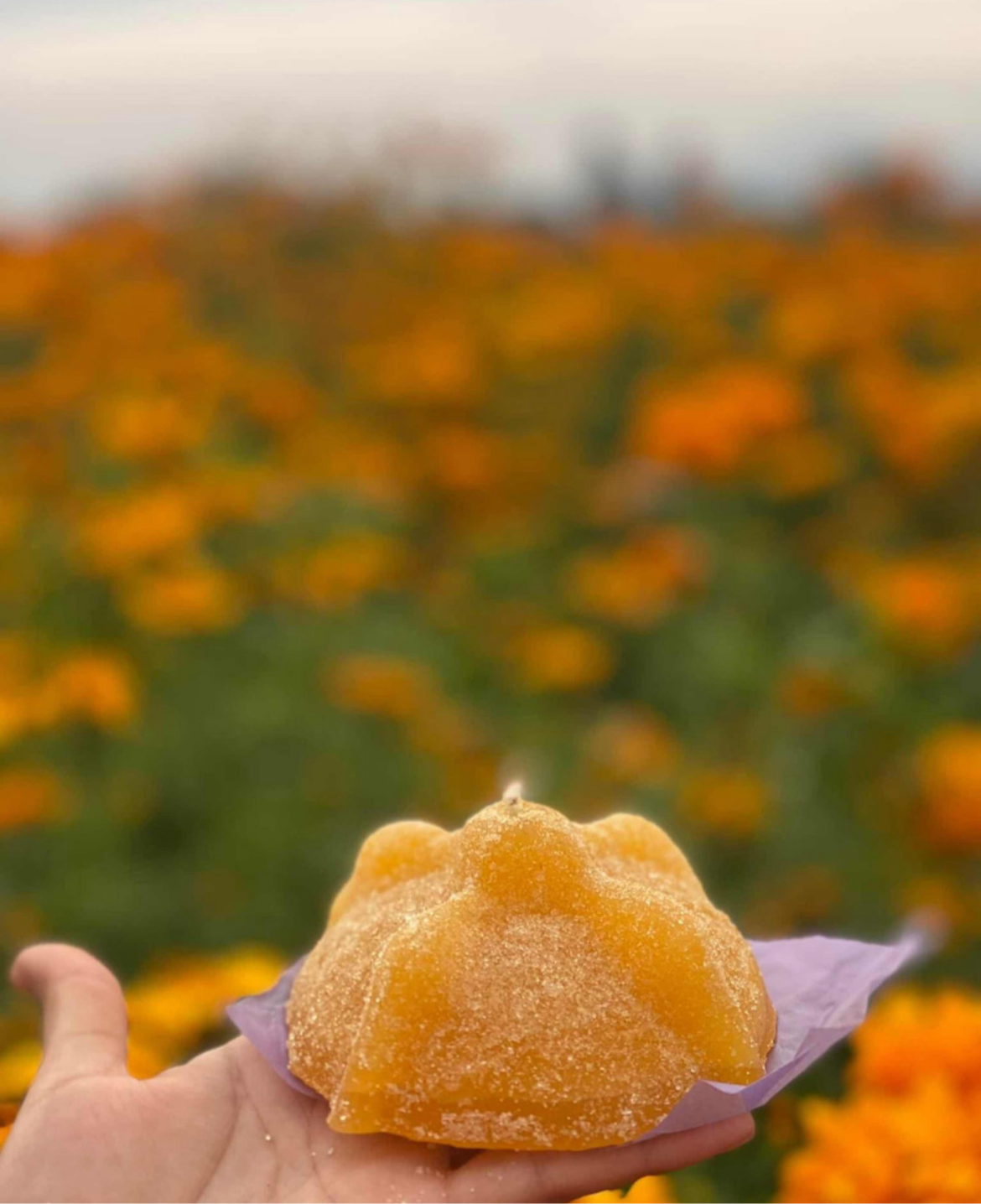 MOLDE DE SILICÓN PAN DE MUERTO GIGANTE